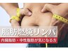 【人気No.2】《メンズ痩身》脂肪燃焼リンパトリートメント ¥12100 結果重視◎