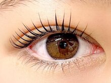 デザインケー 本店(design K)