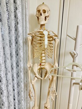 ホジュン鍼灸整体院/院内