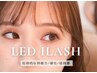 【再来限定・1ヶ月以内】LEDダブルフラット40束リペア ¥5,500