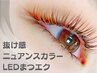 《LEDまつエク》ニュアンスカラー潤艶Eye♪ブラック120＋カラー20本◆8000円