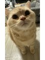 ヤーニング(yearning) あざと猫に飼われてます笑笑