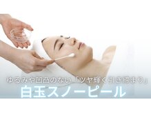 ホロホロ(holoholo)/幹細胞白玉スノーピール