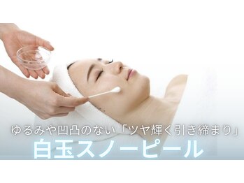 ホロホロ(holoholo)/幹細胞白玉スノーピール