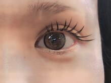 キャメル(camel)/【バインドロック】100束