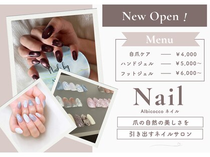 アルビコッコ(Albicocco)の写真