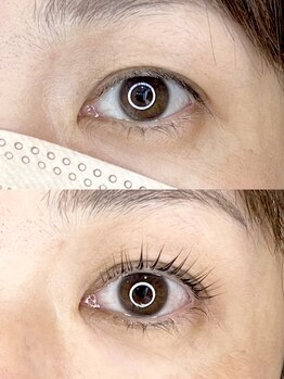 ダーム ド ローズ(Dame de rose)/【まぶたが上がるまつ毛パーマ】