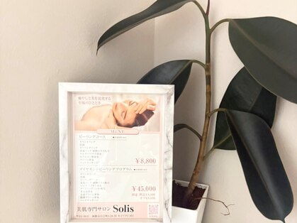 ソリス(solis)の写真