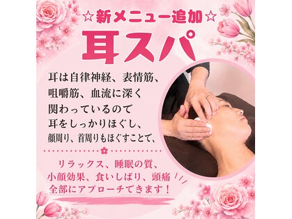 ミコットの写真