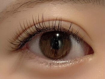 カラン 焼津店(CALIN)/フラットラッシュ100本