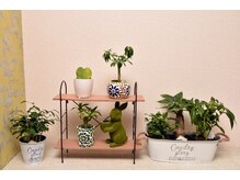 りふれっ手/店内は緑や可愛い小物も♪