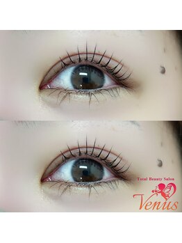 ヴィーナス(Venus)/まつ毛パーマ上のみ