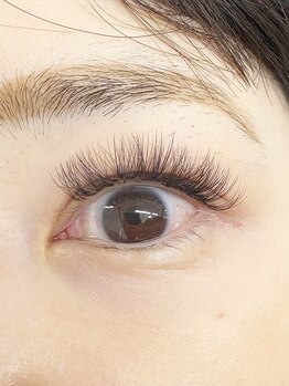 パトラ(PATRA)/ボリュームラッシュ 300本