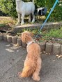 アメイジングヘアー 千歳店(AMAZING HAIR) 最近犬を飼い始めました♪