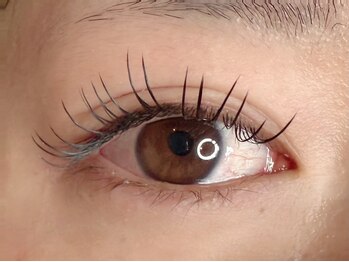 ラシク ベル(Lashiku Belle)/長めフラットラッシュ