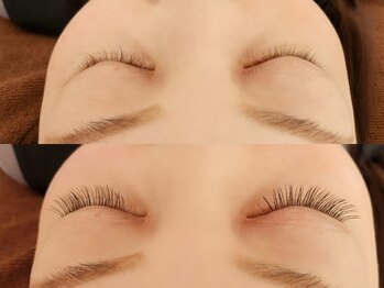 チャイ(Chay)/ナチュラルマツエク★１００本★