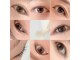 シフ(sif.)の写真
