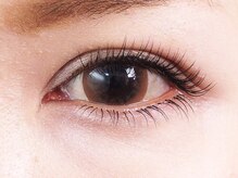 ブルーフォレスト/ナチュラル