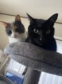 ネイルアンドアイラッシュ シェーナリーチェ(Scena Lice by Carina) 猫を2匹飼っています♪黒猫のモモと三毛猫のヒナです！
