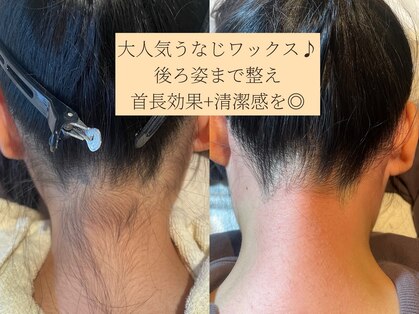 コモレビ(komorebi)の写真