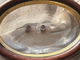 12月 monthly plus design