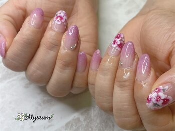 アリッサム(Alyssum)/アートコース