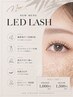 【LED初回利用、平日来店限定】高持続LEDフラットラッシュ120本