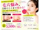 マナ(mana)の写真
