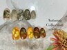 【9月10月限定/パラジェル】◆Autumn Collection 2026◆全12種類 ￥12000