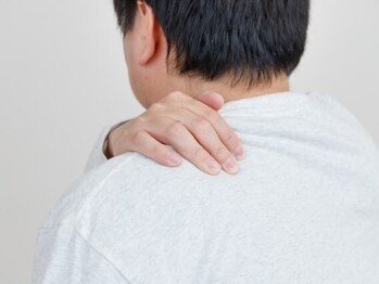 一樹鍼灸院の写真/日々の疲れやストレスを根本解消。周りを気にせず心身を整えたい男性に選ばれる鍼灸院です。