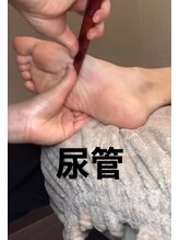 ツボミ(tubomi)/尿管が痛い場合