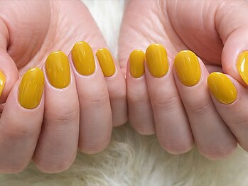 ファッシーナ(Fascina)/〇マスタードワンカラー