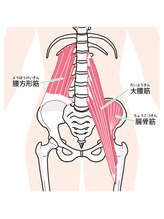 リファインネス 烏丸/姿勢保持筋にしっかりアプローチ