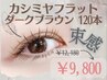 【平日限定】柔らかな印象のお顔立ちに★ダークブラウン束感120本