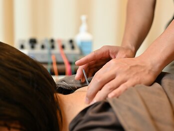 プラスワン鍼灸接骨院(Plus ONE鍼灸接骨院)の写真/季節の変わり目をベストな状態で!春先の「なんとなくのだるさ」に、プロ仕様のコンディショニングを◎