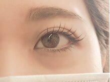 キャメル(camel)/【シングルラッシュ】120本