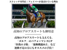 フェイバー(Favor)の雰囲気（プロアスリートも御用達。高知でも高水準の本格ストレッチ専門店）