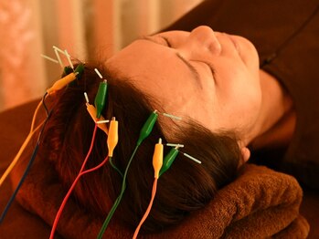 ハリ是好日の写真/脳まで解ける、究極の頭皮鍼!ヘッドスパ超えの効果を実感◎自律神経と血流を整える至福のリセット体験☆