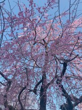 エステリッシュガーデン/春の庭