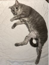 猫の手(ne.co.note) 川中 のりこ