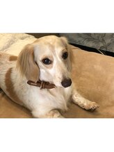 ルブラントーキョー(Le blanc tokyo)/