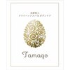 サロン タマゴ(Salon Tamago)ロゴ