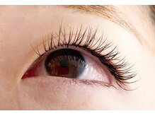 シマー(shimmer)/バインドロック60束