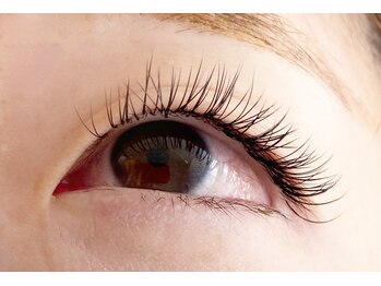 シマー(shimmer)/バインドロック60束