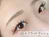 【LEDエクステ】汗,水に強い&長持ち◆フラットラッシュ140本(オフ込)¥7000