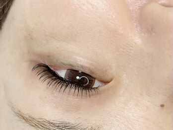 プトゥリチュール(Putritulle)/デザインキープラッシュ