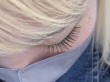 ソファー 国分寺(sofa)/フラットラッシュカラー120本