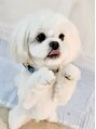 アイラッシュサロン ブラン イオンモール幕張新都心店(Eyelash Salon Blanc) 愛犬とゆったり過ごすのも大好きです!