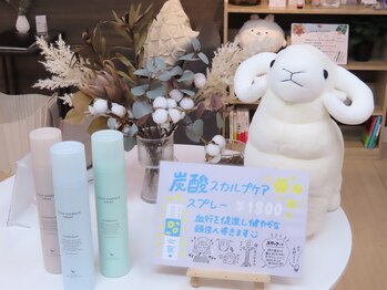 癒し～ぷ 熊本店/炭酸スプレー