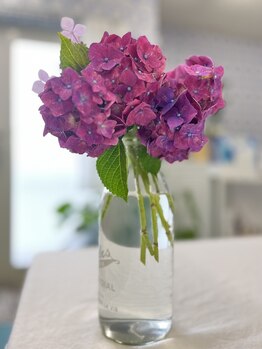 マシュマロハンド/肩こり/冷え/むくみ改善